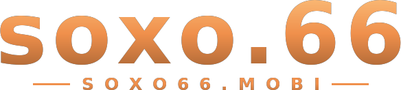 soxo.66 logo