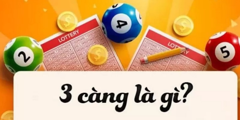 3 càng là gì và gợi ý một số phương pháp đánh hiệu quả 1 3 càng là gì đang là thắc mắc của nhiều tân binh mới tham gia lô đề