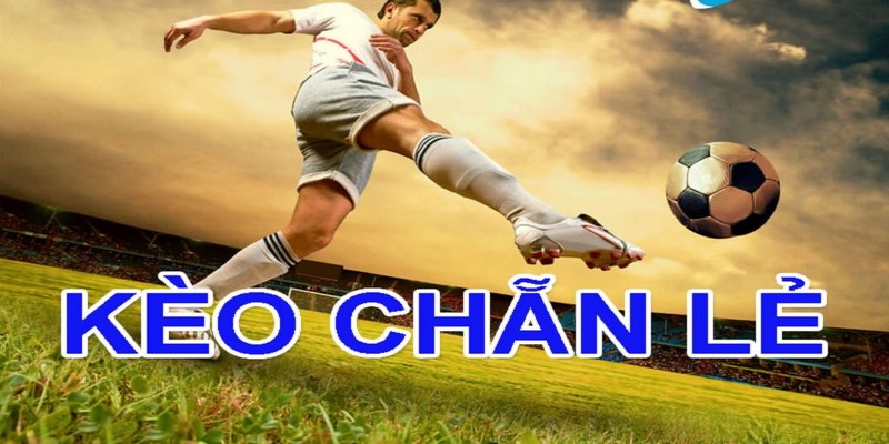 Kèo chẵn lẻ là gì và lý do được nhiều người ưa chuộng 1 Kèo chẵn lẻ có cách chơi đơn giản và cơ hội thắng thưởng cao